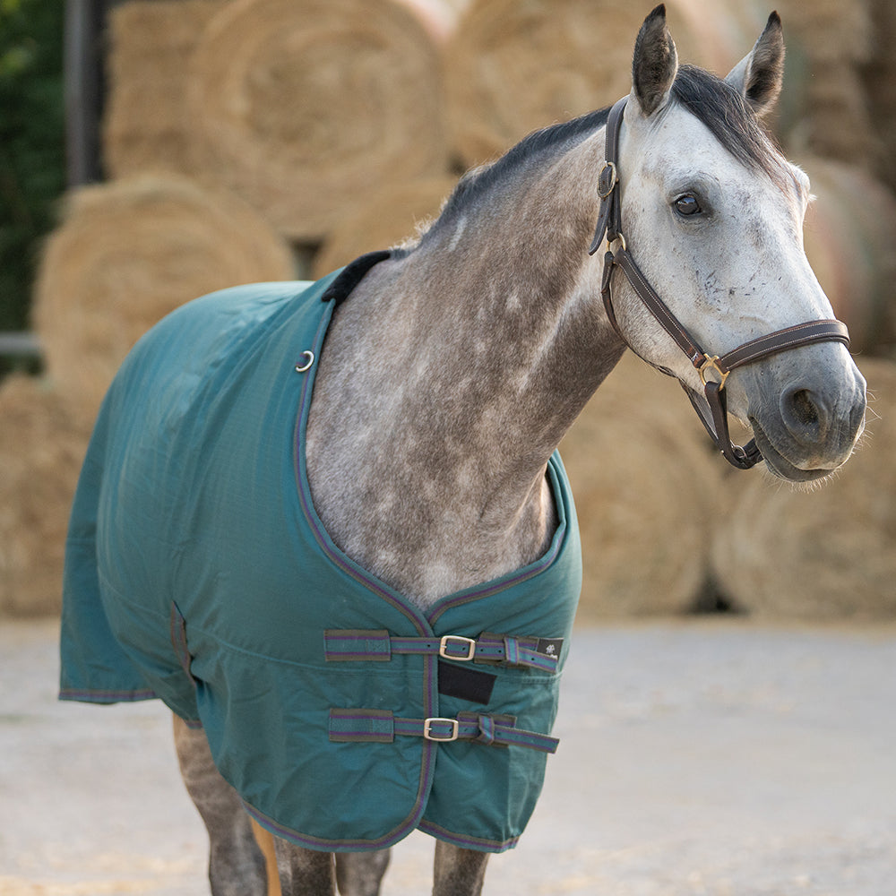 Deanna 600D 150g Turnout Rug
