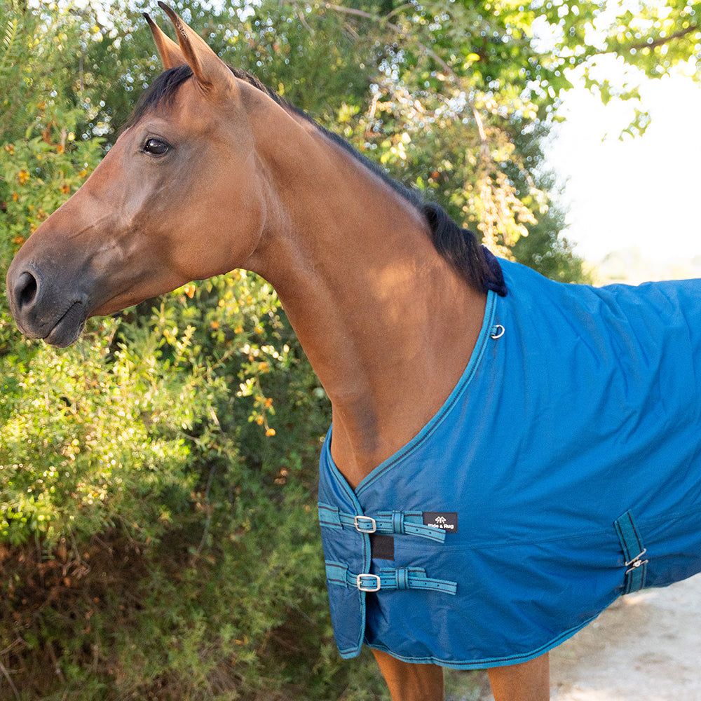Deanna 600D 150g Turnout Rug