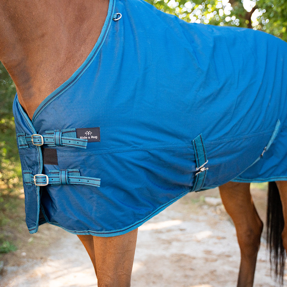 Deanna 600D 150g Turnout Rug