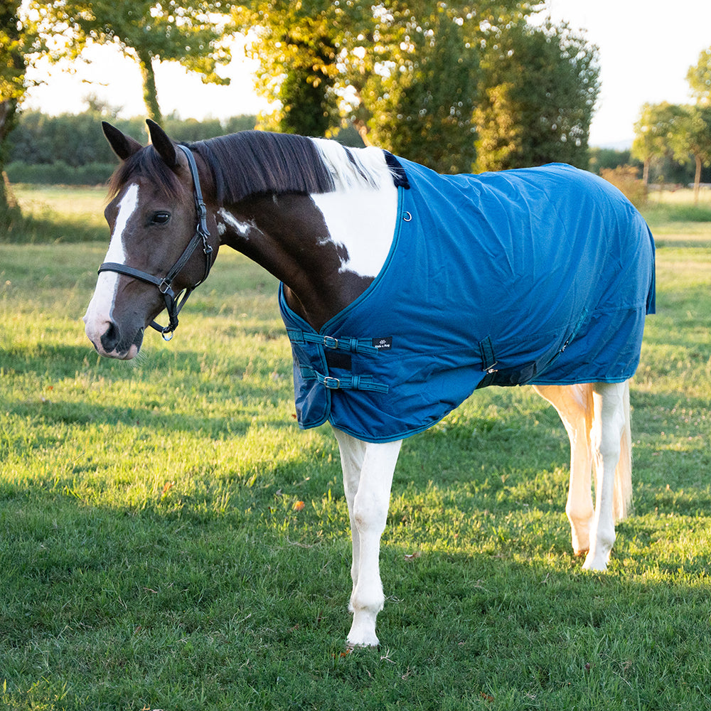 Deanna 600D 150g Turnout Rug