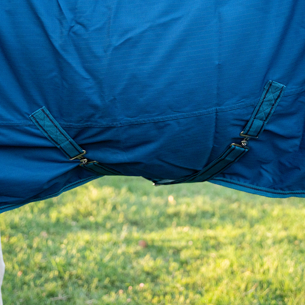 Deanna 600D 150g Turnout Rug