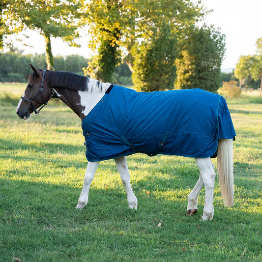Deanna 600D 150g Turnout Rug