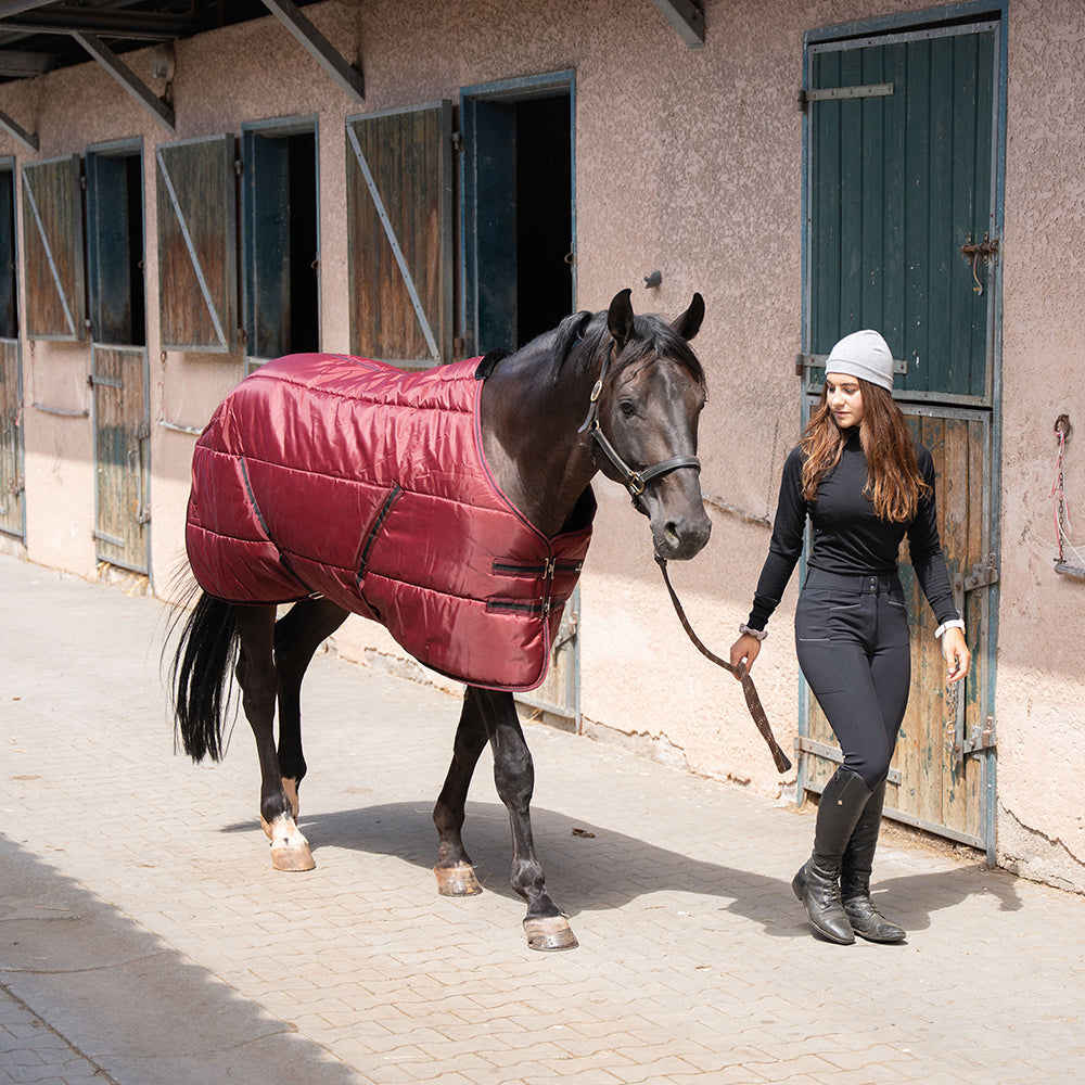 Dolene II 420D 400G Stable Rug