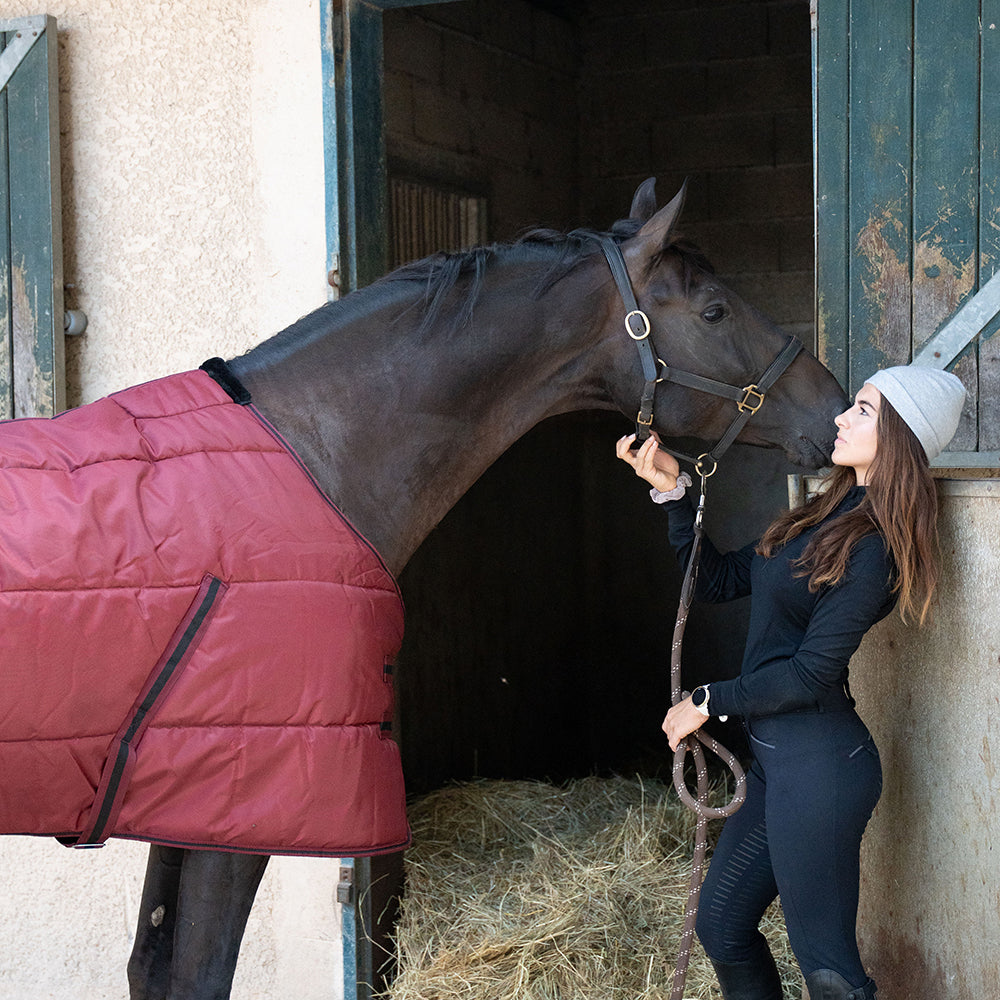 Dolene II 420D 400G Stable Rug