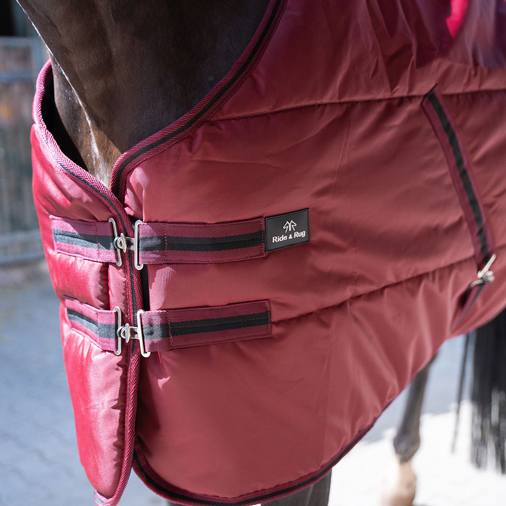 Dolene II 420D 400G Stable Rug