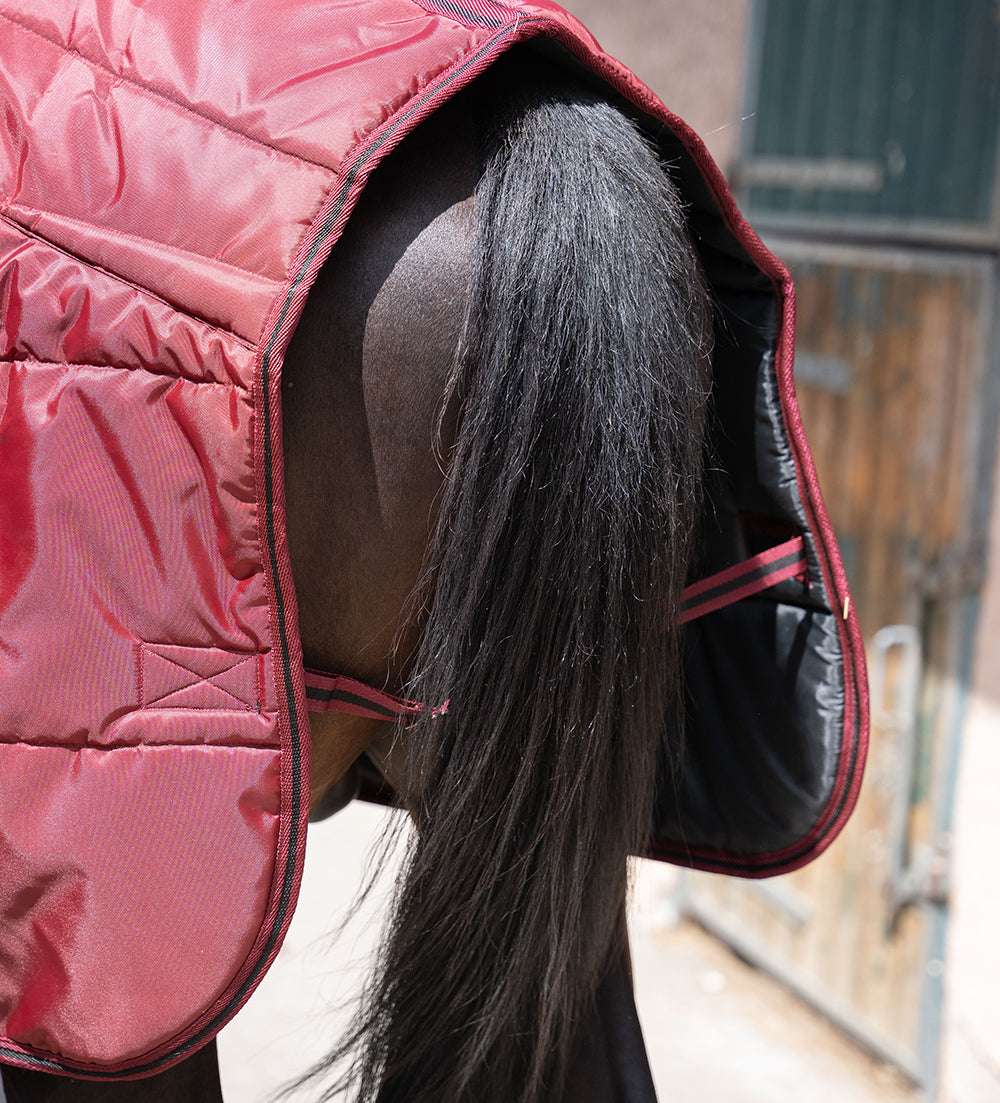 Dolene II 420D 400G Stable Rug