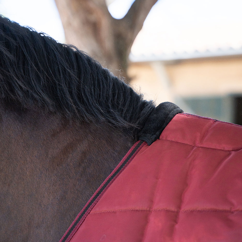 Dolene II 420D 400G Stable Rug