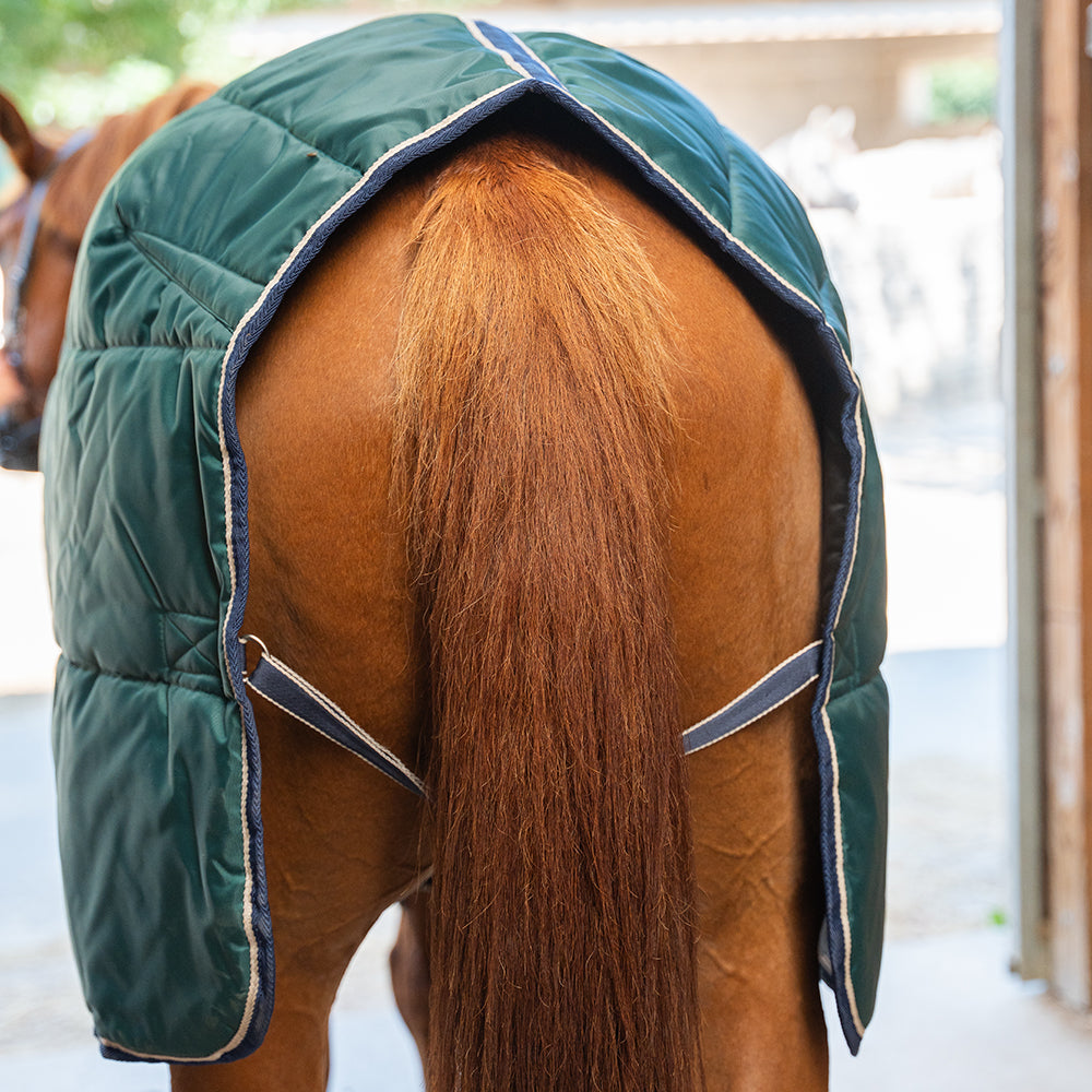 Dolene III 420D 250G Stable Rug