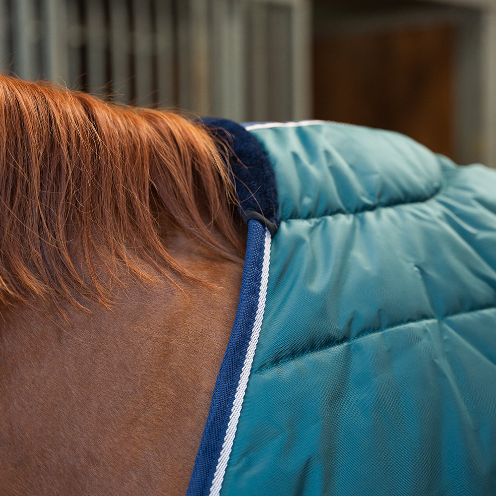 Dolene III 420D 250G Stable Rug