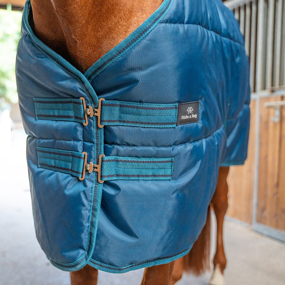 Dolene III 420D 250G Stable Rug