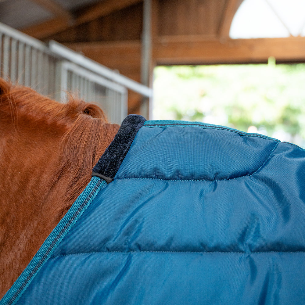 Dolene III 420D 250G Stable Rug