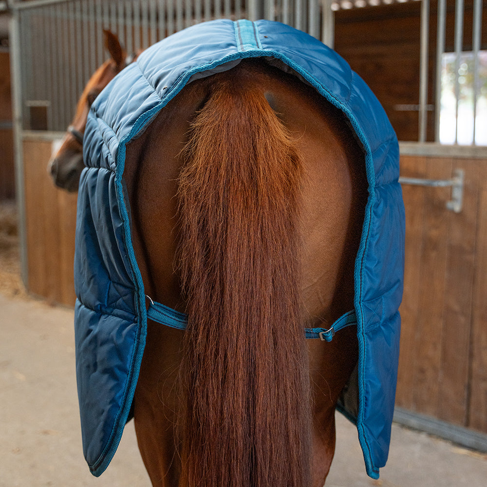Dolene III 420D 250G Stable Rug