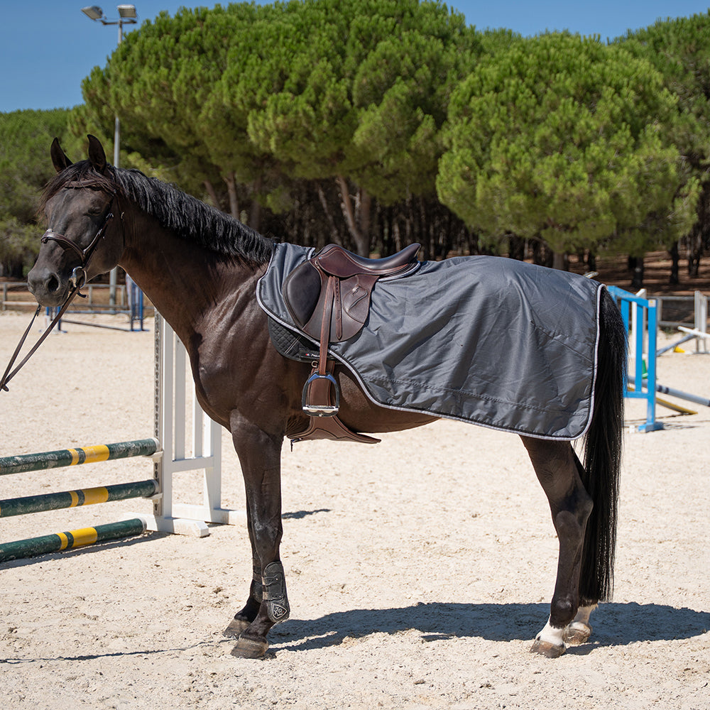 Dorinne Exercise Sheet