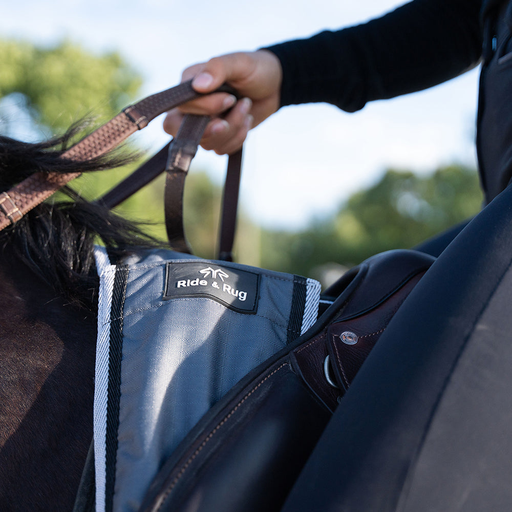 Dorinne Exercise Sheet