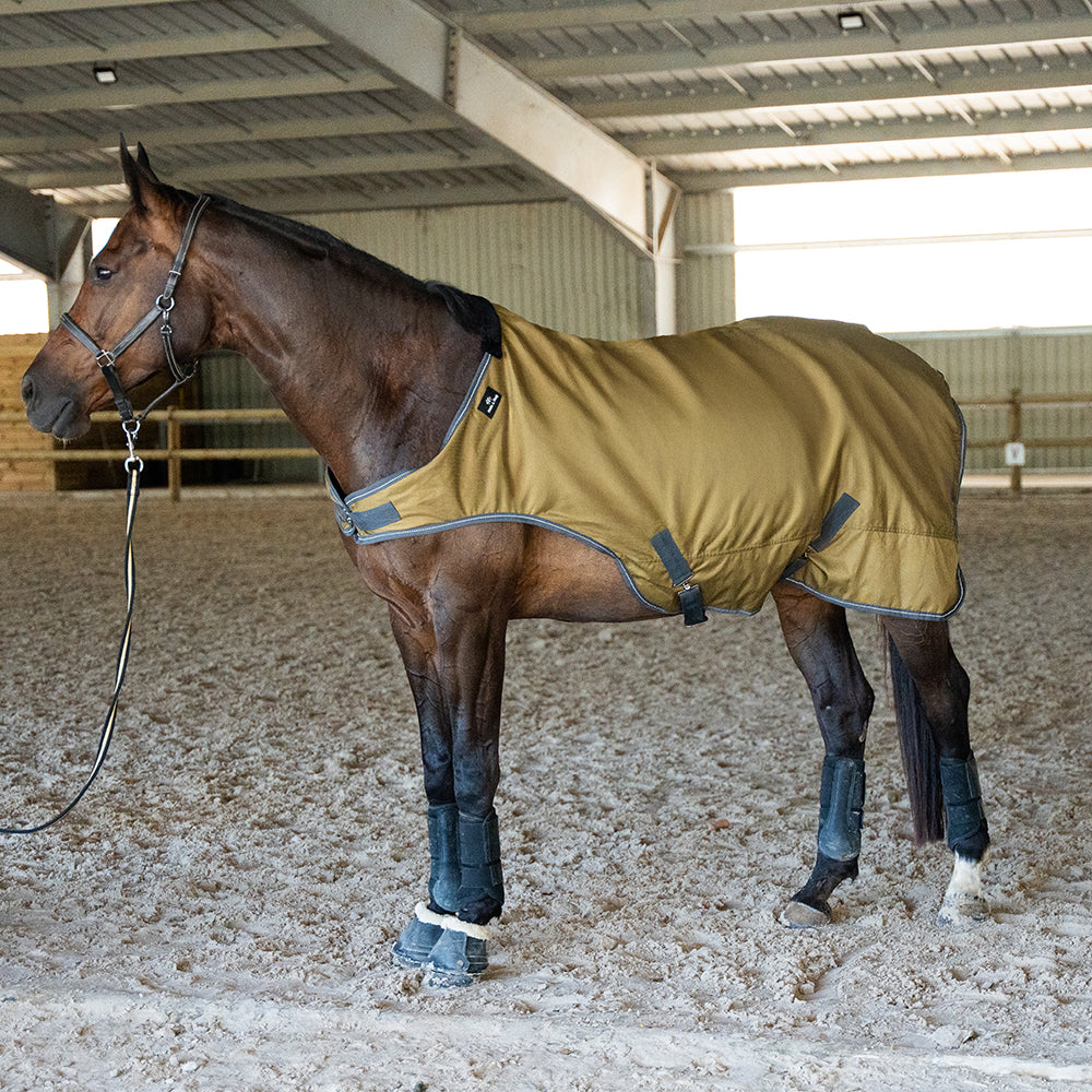 Flaurine 600D Walker Rug