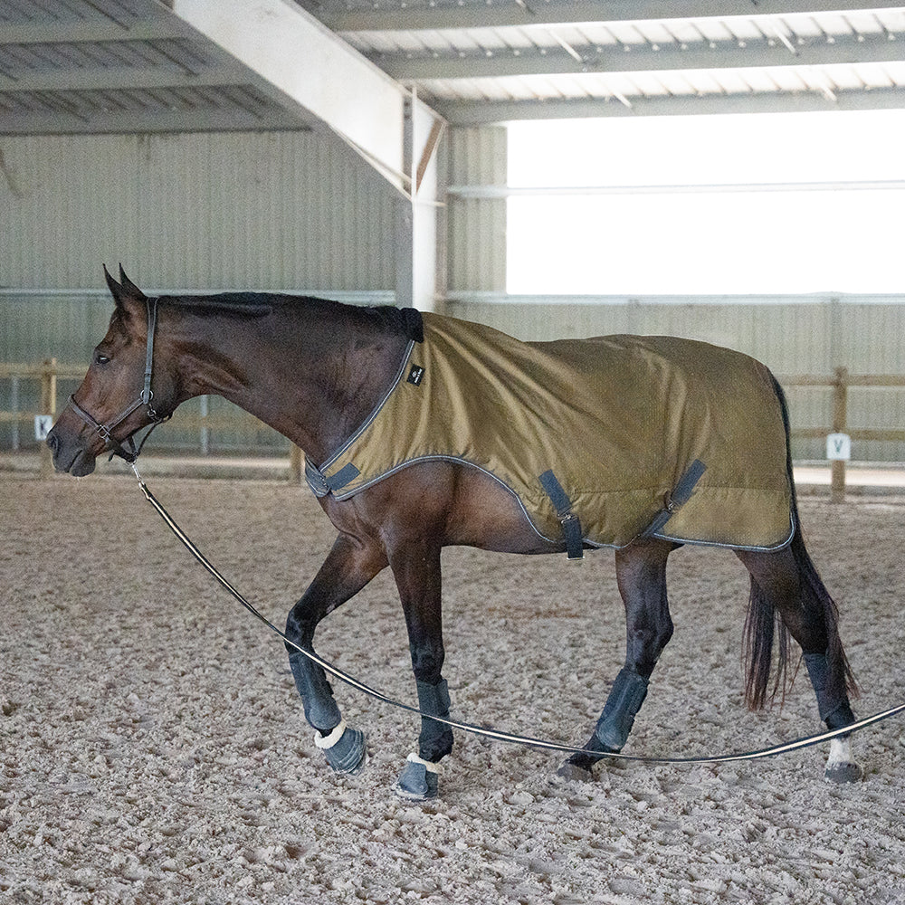 Flaurine 600D Walker Rug