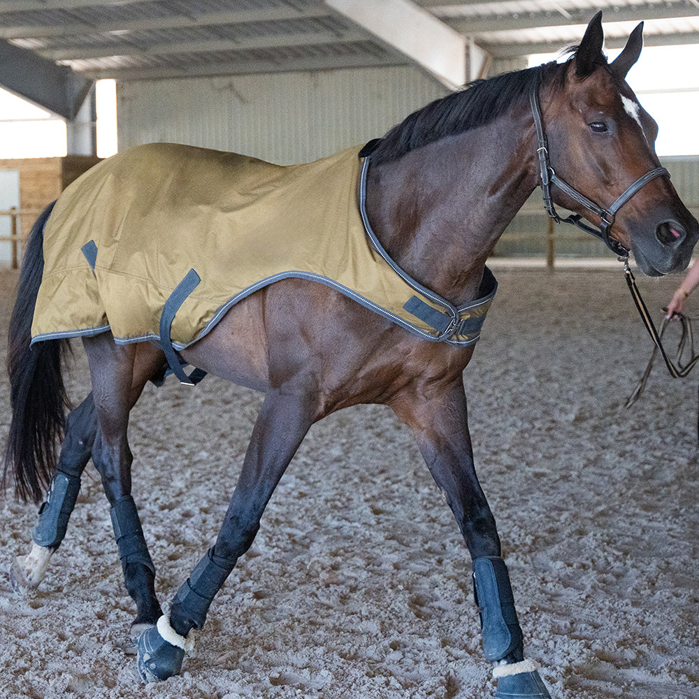 Flaurine 600D Walker Rug