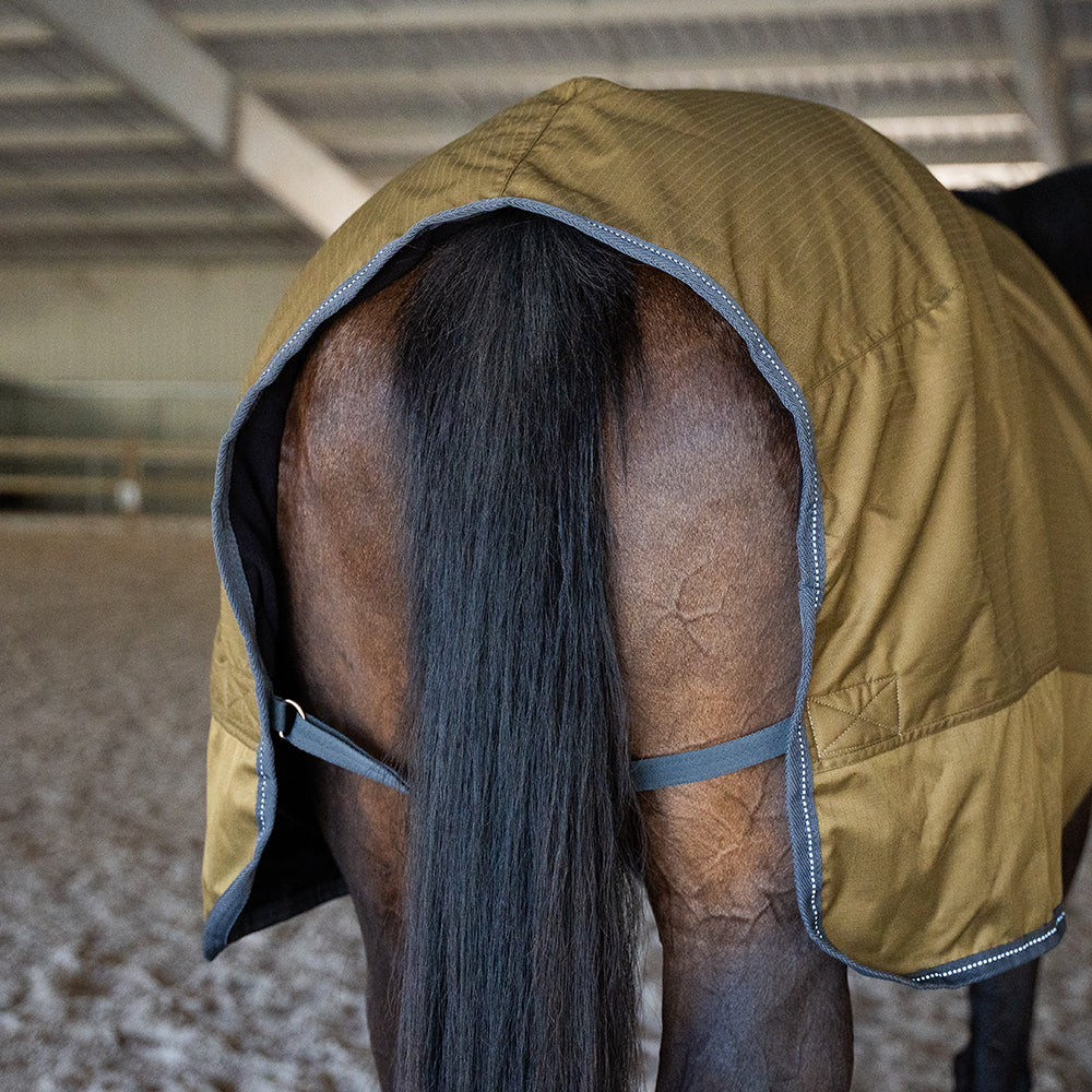 Flaurine 600D Walker Rug