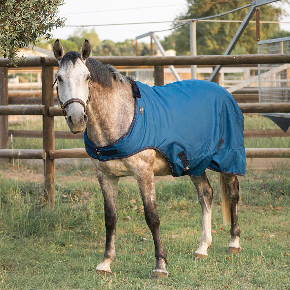 Flaurine 600D Walker Rug