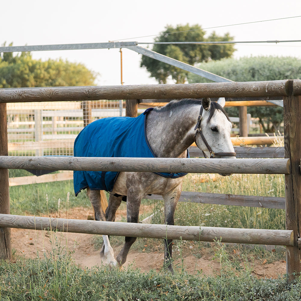 Flaurine 600D Walker Rug