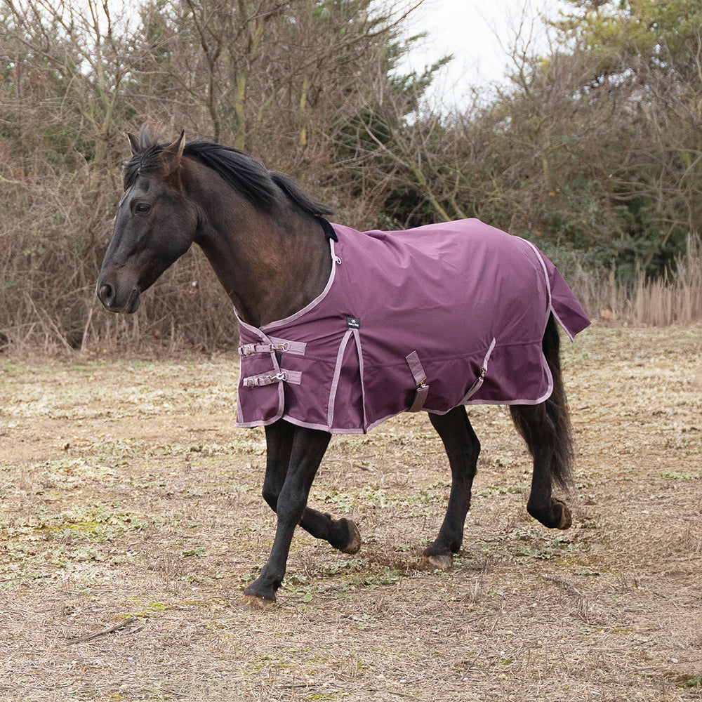 Franceza 1200D 0G Turnout Rug