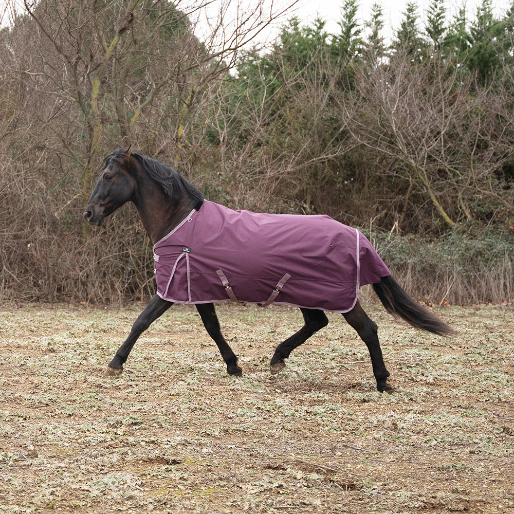 Franceza 1200D 0G Turnout Rug