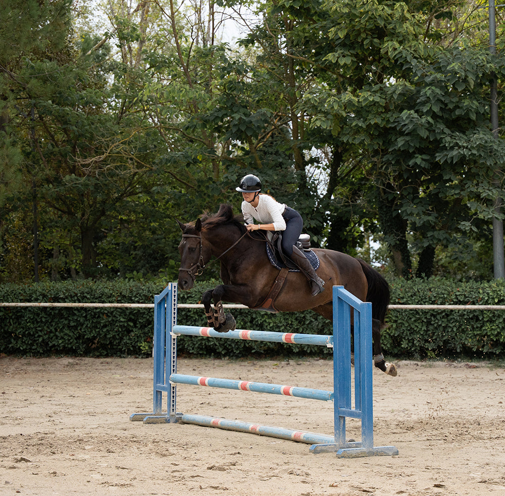 Froncina Full Grip Breeches