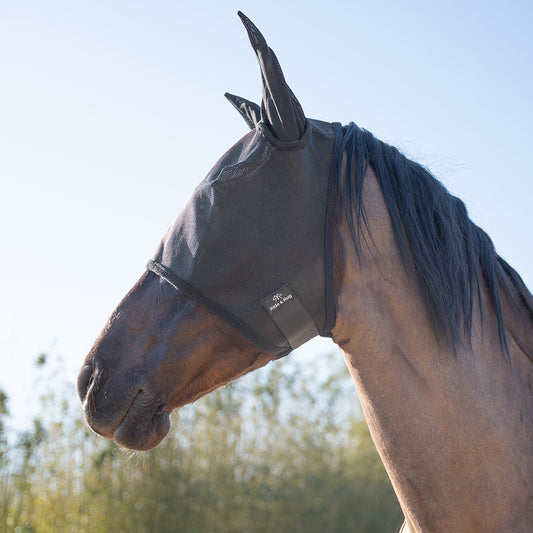 Hella Fly Mask