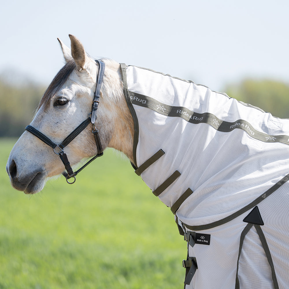 Heloise Fly Rug and Hood Set
