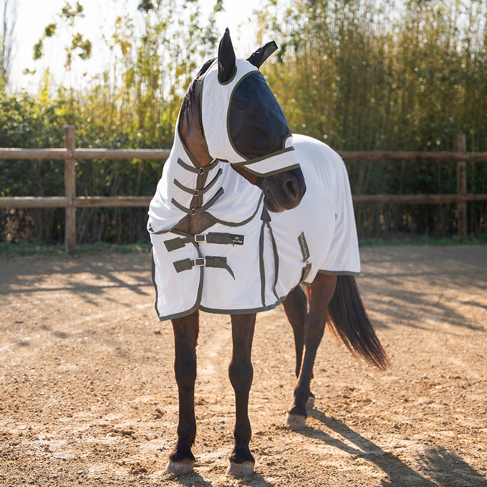 Heloise Fly Rug and Hood Set