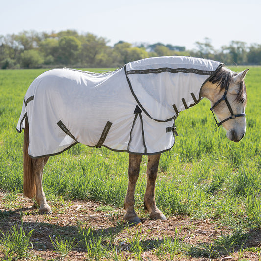 Heloise Fly Rug and Hood Set