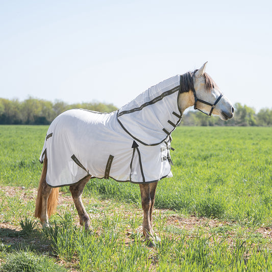 Heloise Fly Rug and Hood Set