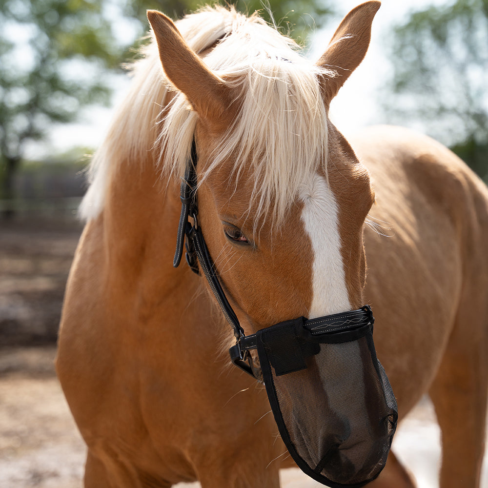 Hoelen Fly Nose Cover
