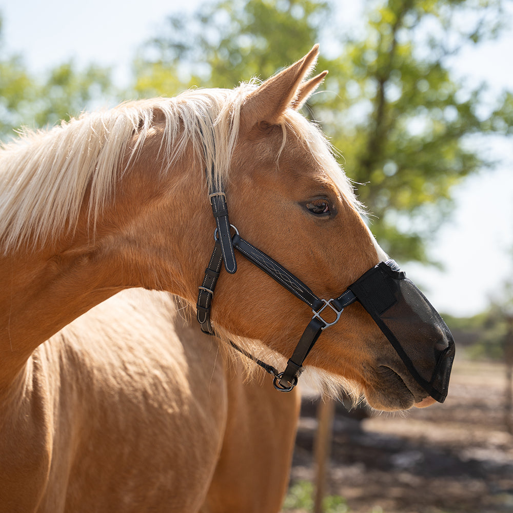 Hoelen Fly Nose Cover