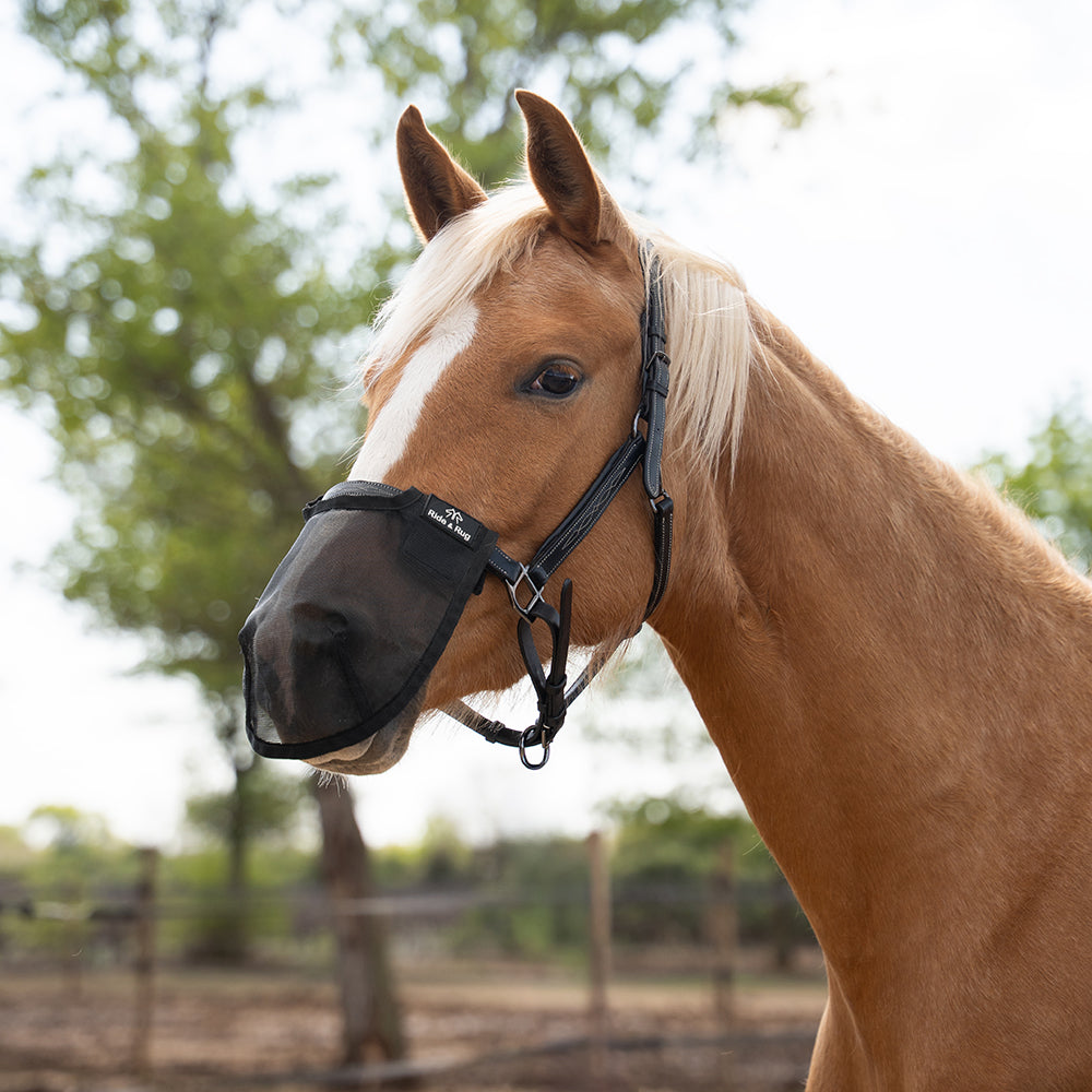 Hoelen Fly Nose Cover