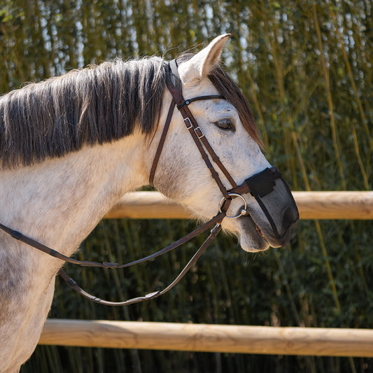Hoelen Fly Nose Cover
