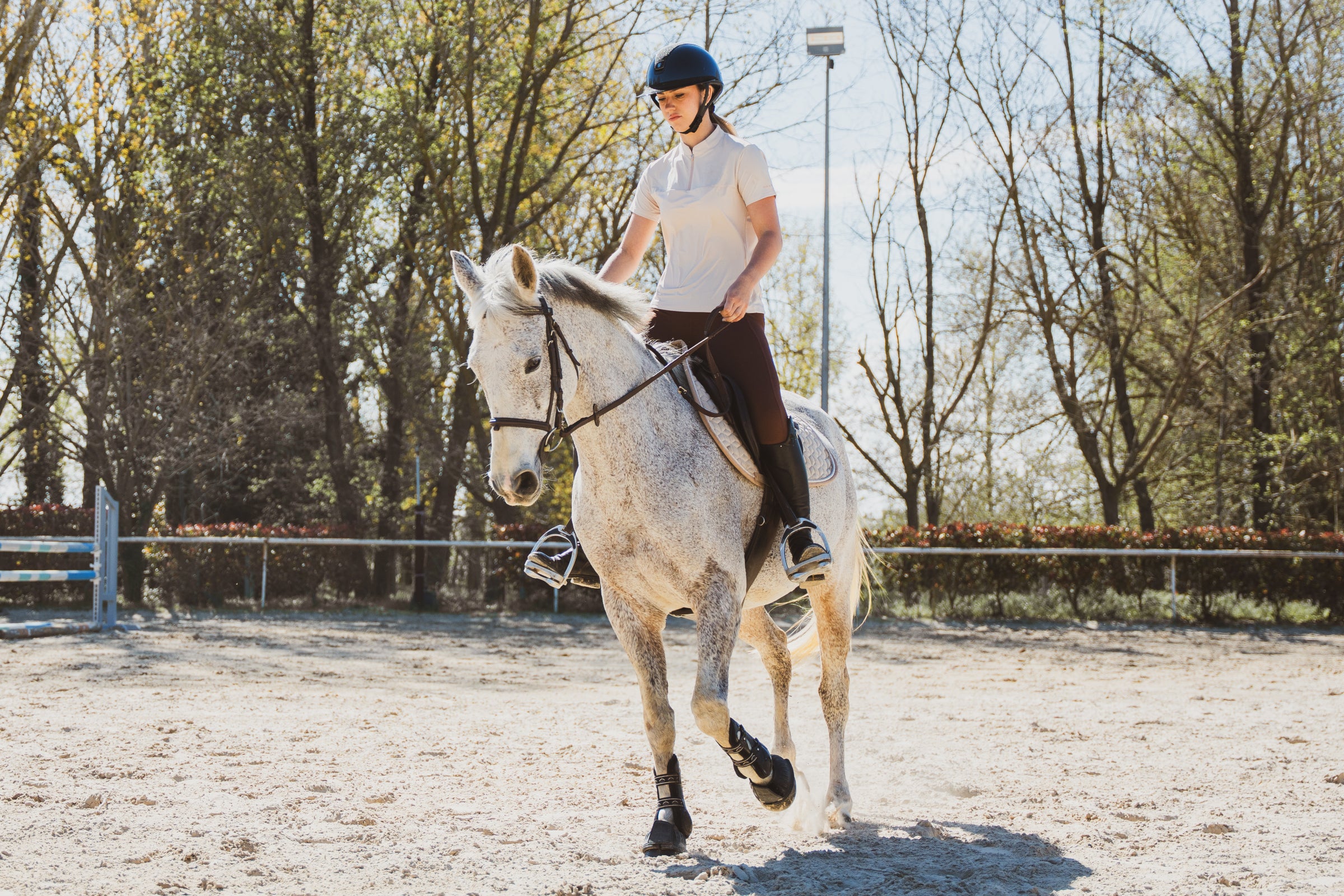 Person riding a horse in an outdoor equestrian setting