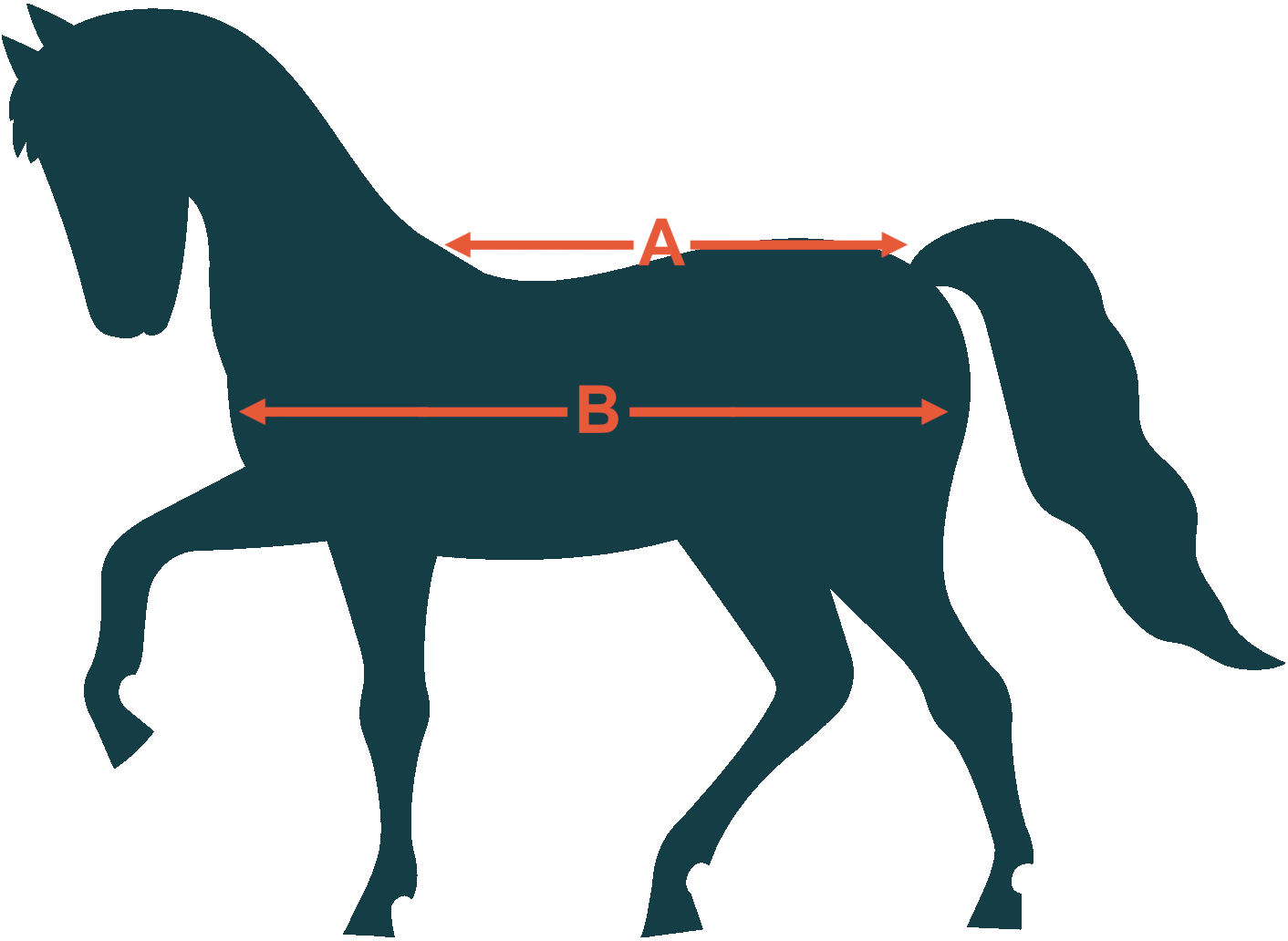 Measurement guide