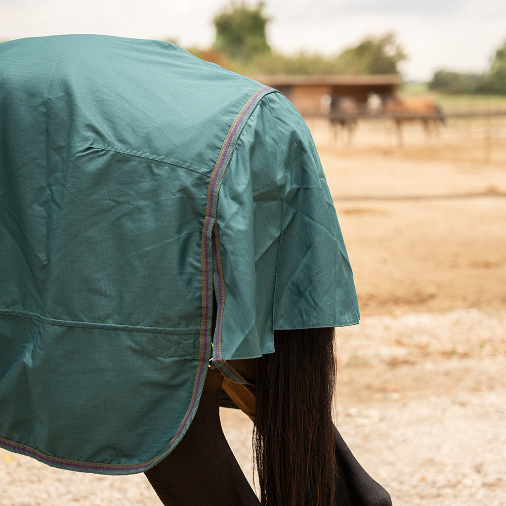 Daphne 600D 0G Turnout Rug