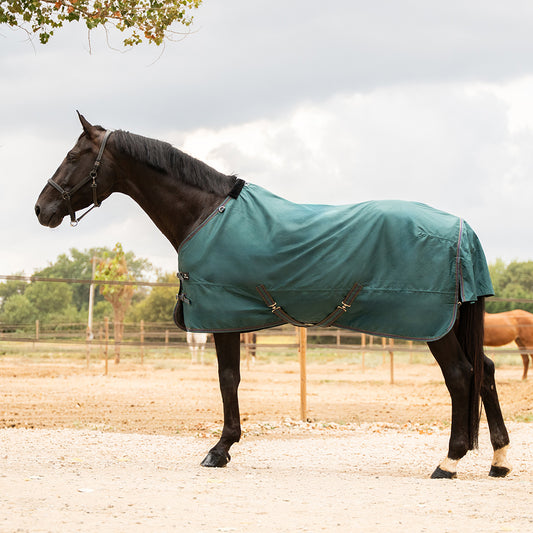 Daphne 600D 0G Turnout Rug