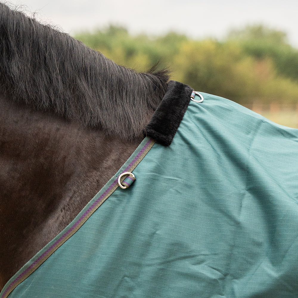 Daphne 600D 0G Turnout Rug