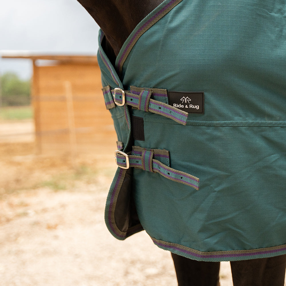 Daphne 600D 0G Turnout Rug