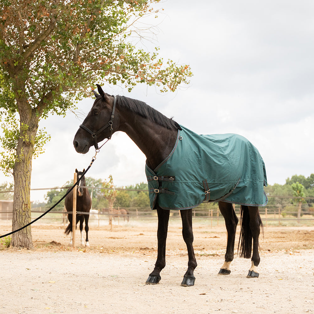 Daphne 600D 0G Turnout Rug