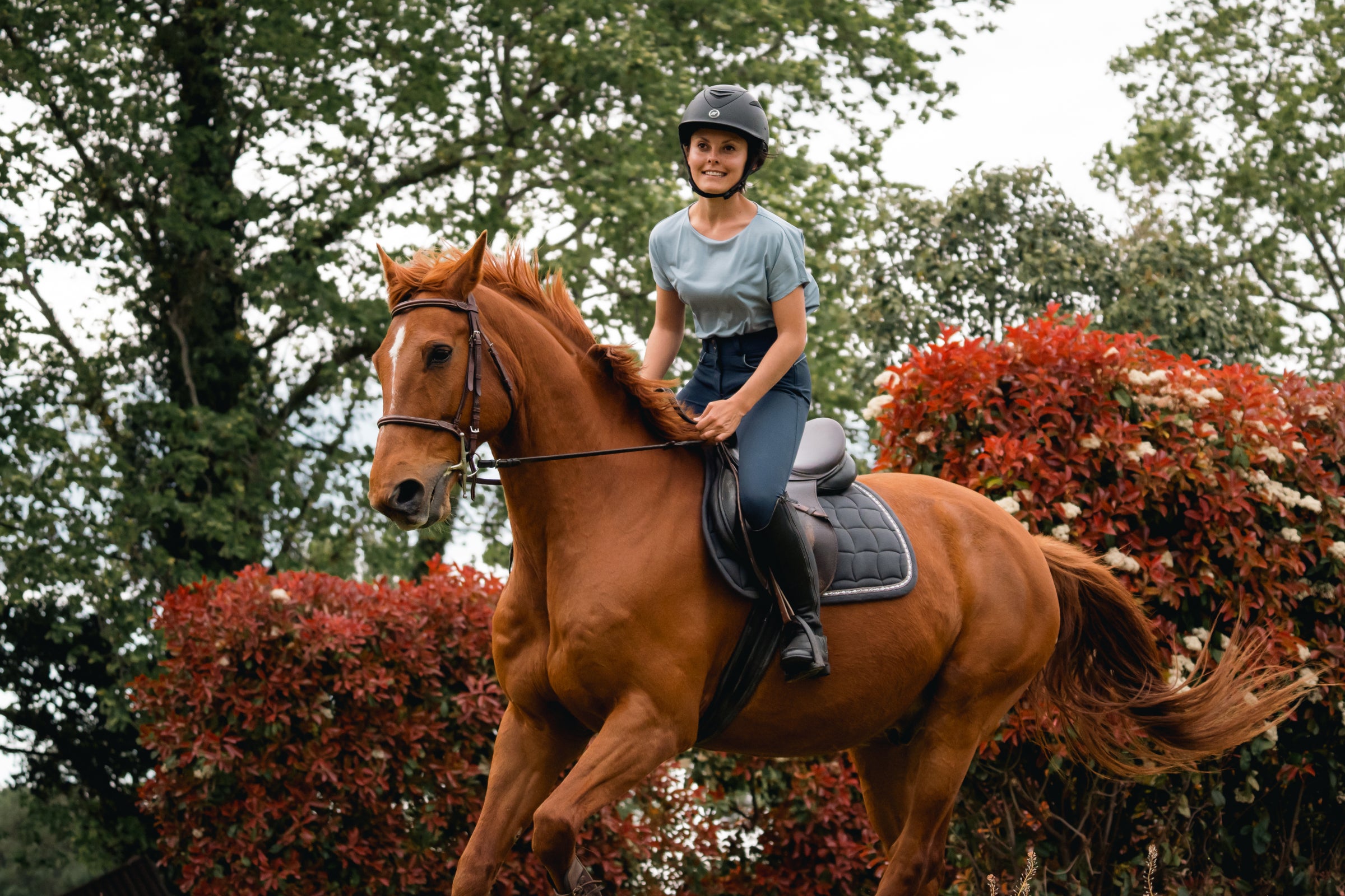 A rider in breeches riding a brown horse