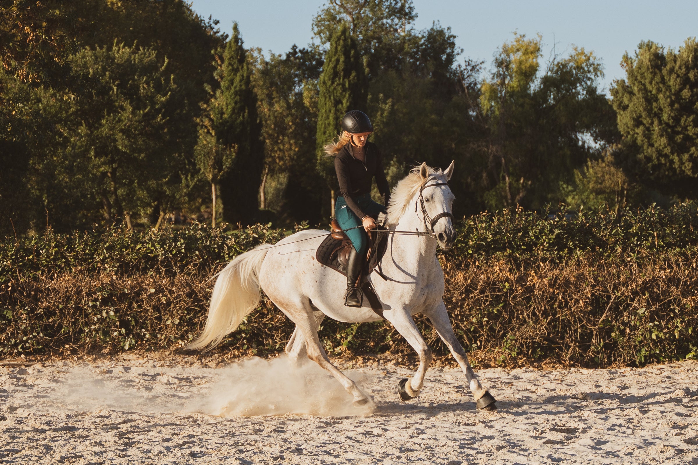 A person riding a white horse at a canter in a sunlit outdoor arena