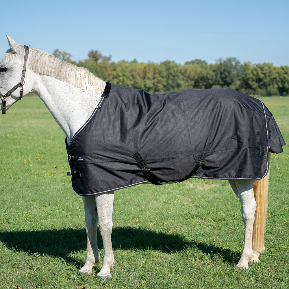 Ride & Rug | Bertrane 600D Turnout Rug