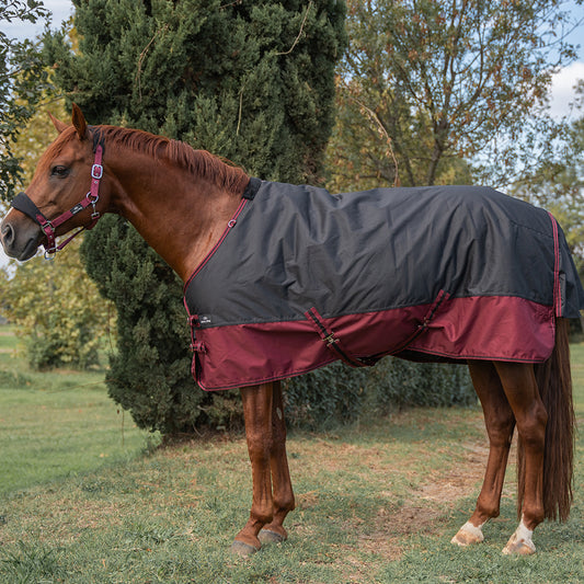 Ride & Rug | Danka 600D 300G Turnout Rug