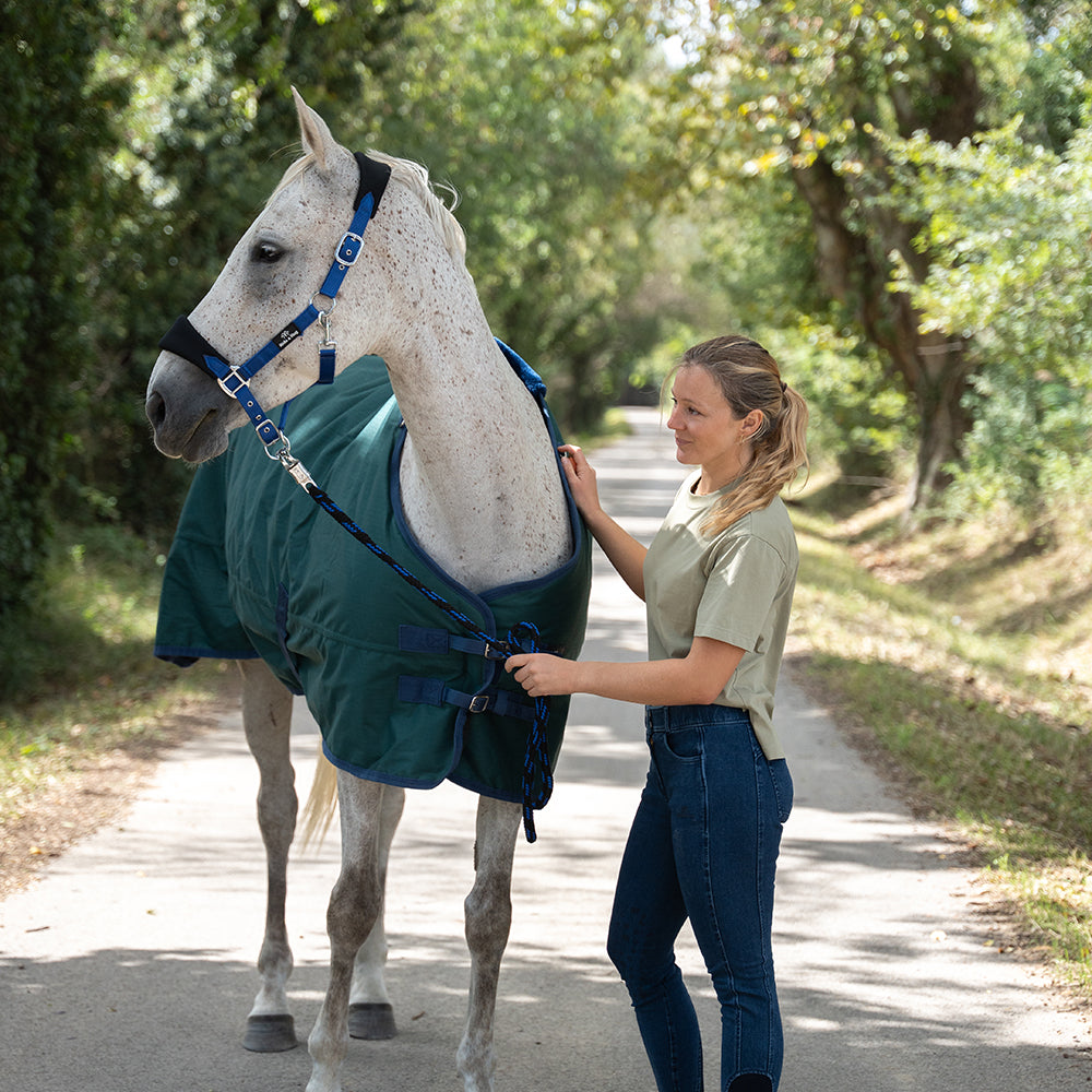 Ride & Rug | Danka 600D 300G Turnout Rug