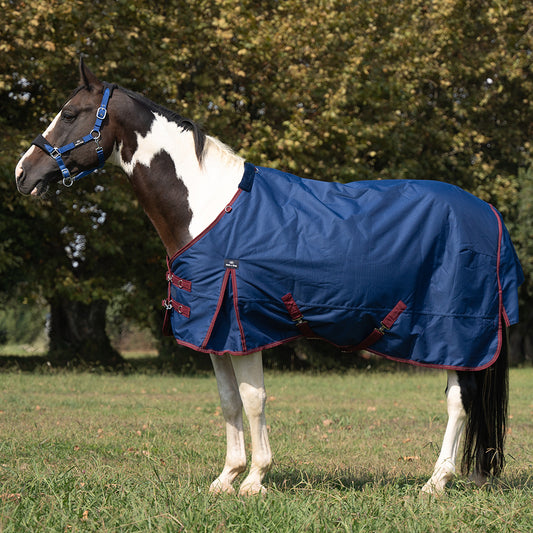 Ride & Rug | Darla 1200D 150G Turnout Rug