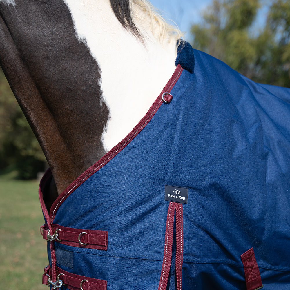 Ride & Rug | Darla 1200D 150G Turnout Rug